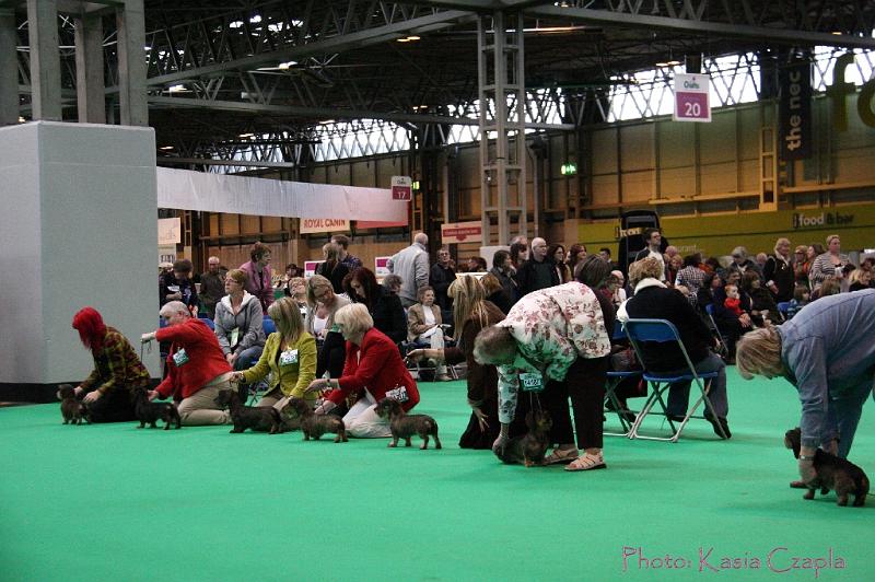 Crufts2011_2 1629.jpg